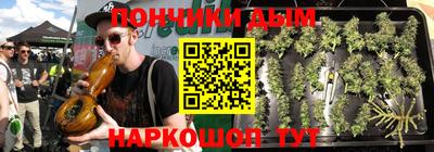 гидра Ставрополь