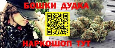 гидра Ставрополь