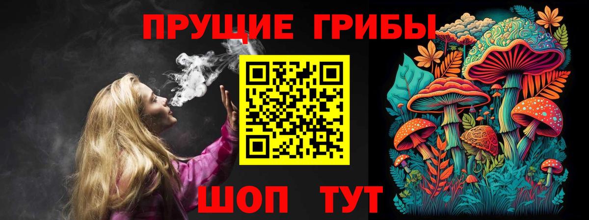 Галлюциногенные грибы Psilocybine cubensis Пенза