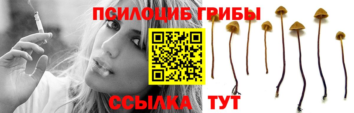 наркота  Галлюциногенные грибы прущие грибы  Галлюциногенные грибы GOLDEN TEACHER  Вход с VPN  Пенза 